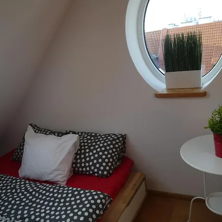 786 호스텔 소포트